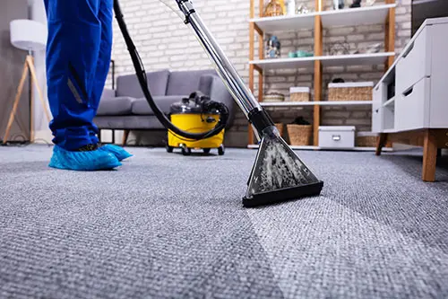 Dry Carpet Cleaning Means Less Waiting Time For Carpet To Dry